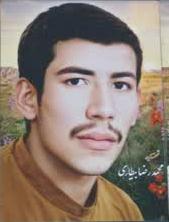 محمدرضا بیطاری