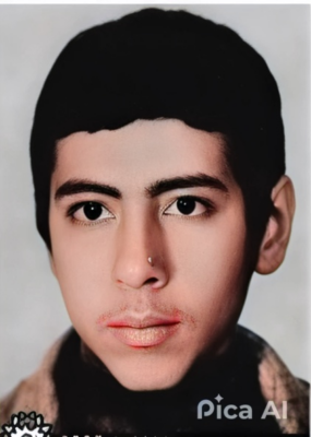 مصطفی عرب حجی