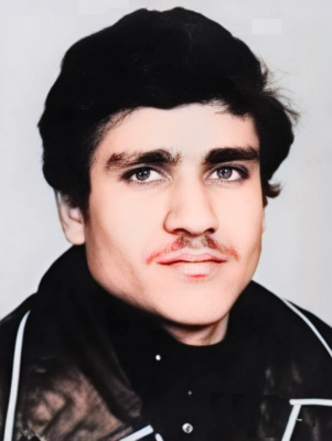 سیدمجتبی میردوستی دوزین