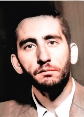 محمود ولیان