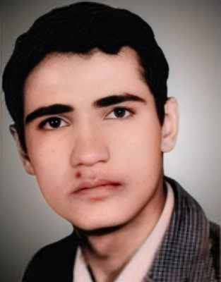 محمدحسن محمدی