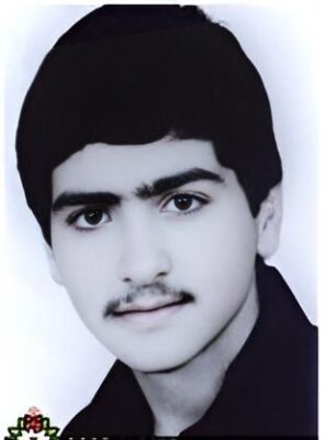 محمدمهدی محمودی